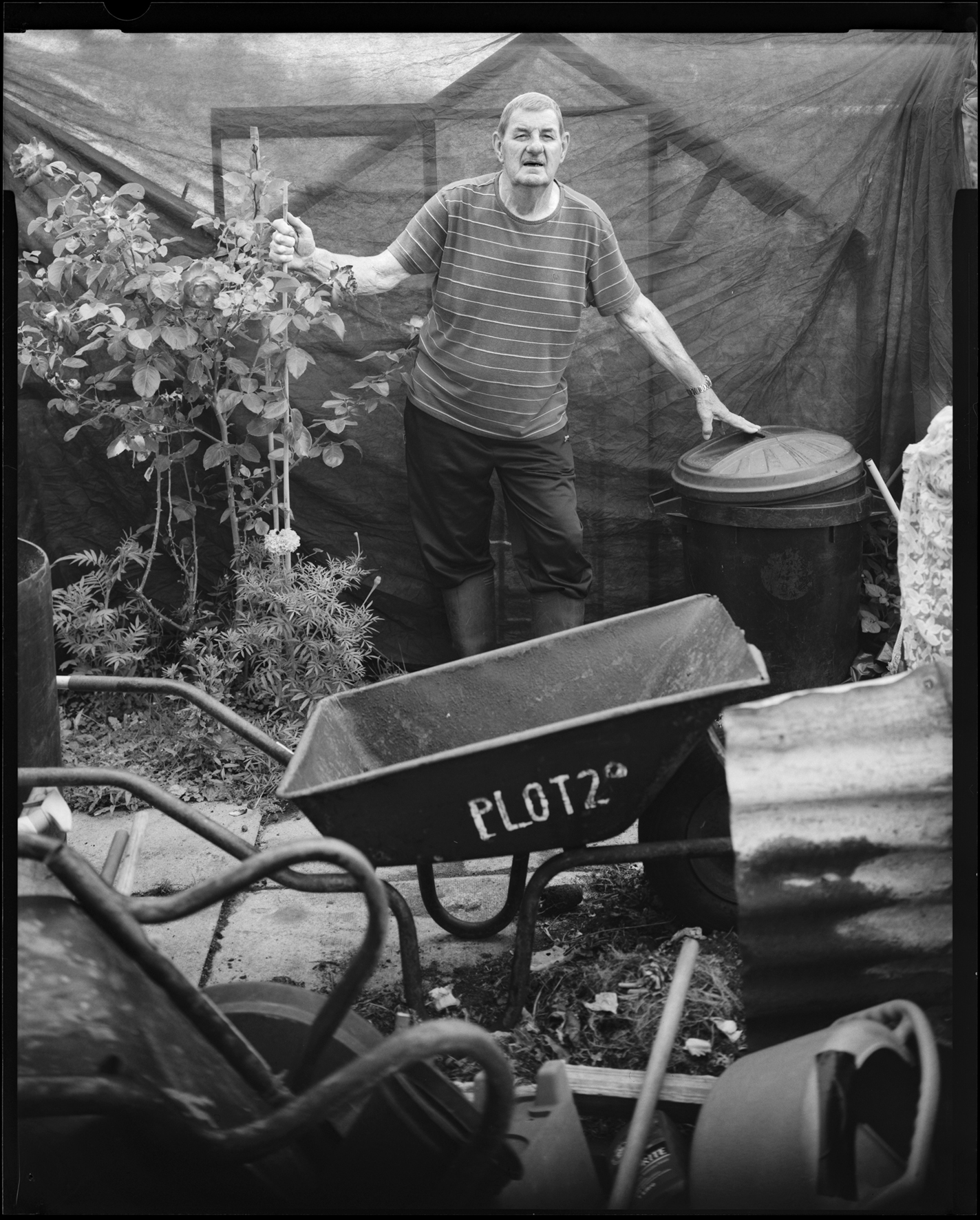 David Lockwood_Tommy Plot 27