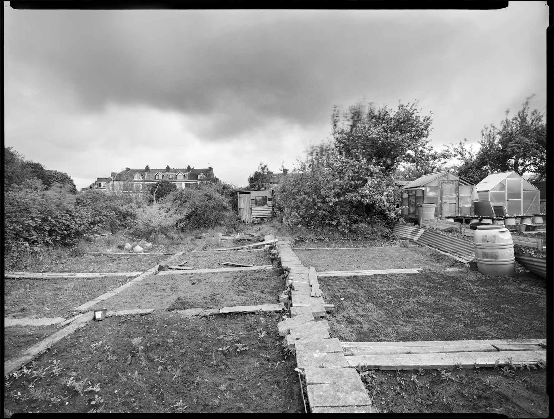 David Lockwood_Untitled_